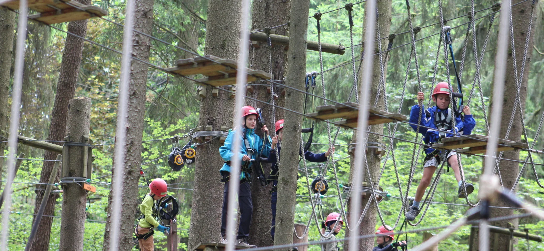 © Tamara Eggelaar © Tamara Eggelaar