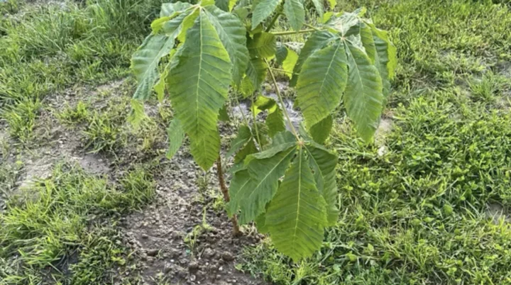 © DAV Sektion Rottal Neumarkt-St. Veit © DAV Sektion Rottal Neumarkt-St. Veit